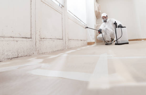 24/7 Emergency Attic Mold Removal experts in USA